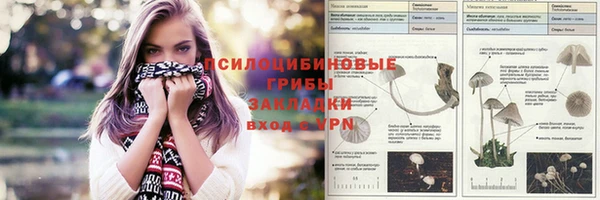 дурь Алексеевка