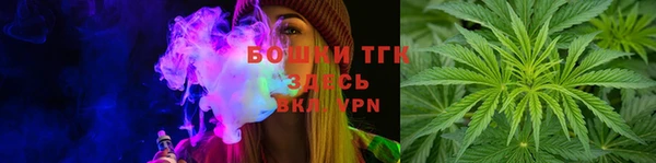 дурь Алексеевка