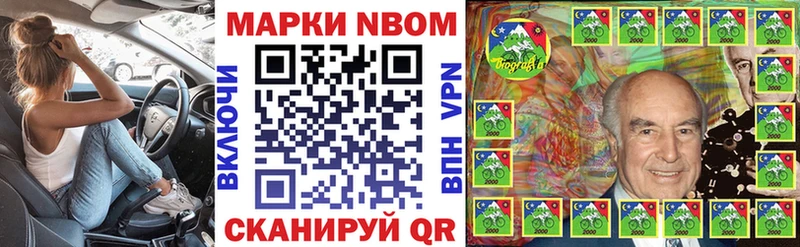 гидра ТОР  купить наркотик  Зеленоградск  Наркотические марки 1,8мг 